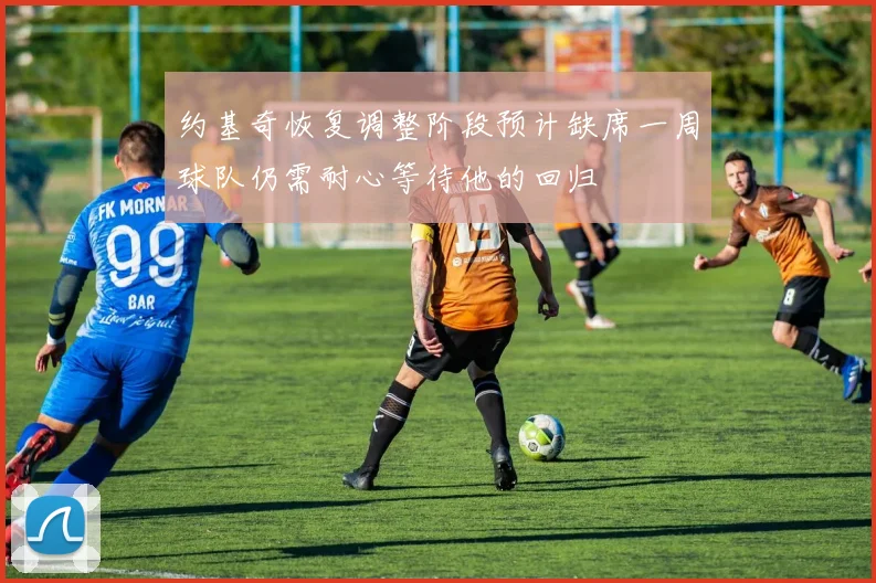 约基奇恢复调整阶段预计缺席一周球队仍需耐心等待他的回归