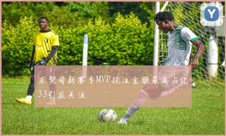 东契奇新赛季MVP投注金额最高占比33引发关注